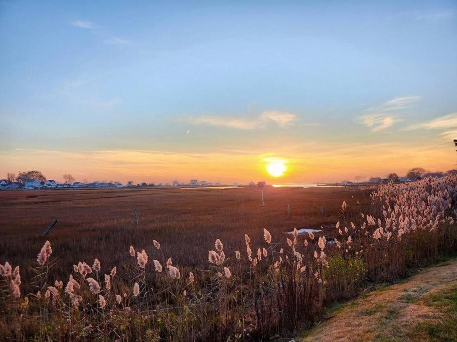 Great Hammcock Getaway Villa Old Saybrook Ngoại thất bức ảnh